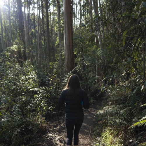 Noojee_a7s_July_2019_0049